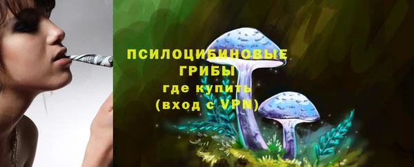 ПСИЛОЦИБИНОВЫЕ ГРИБЫ Алексеевка